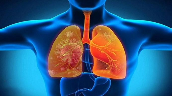 Cồn bay hơi qua màng hô hấp của phổi